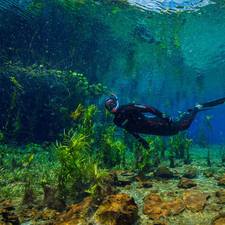 pagamento facilitado agencia de turismo