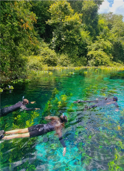 nascentes da serra foto flutuação