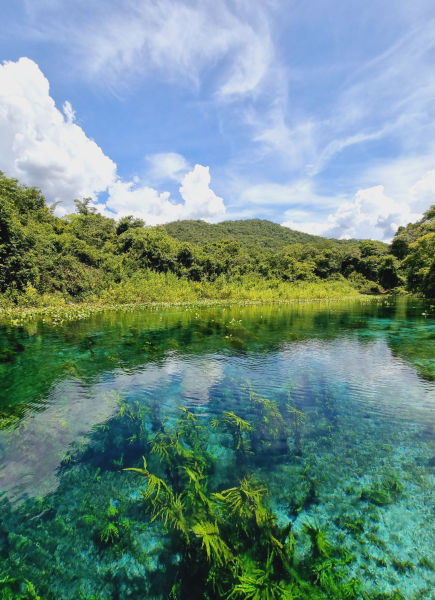 nascentes da serra foto flutuação, passeio em bodoquena