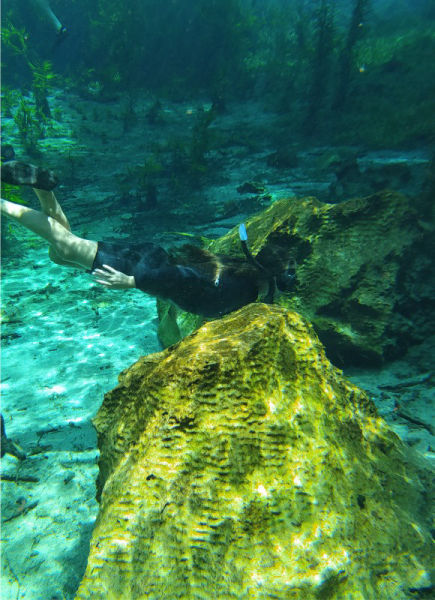 nascentes da serra foto flutuação em bodoquena ms