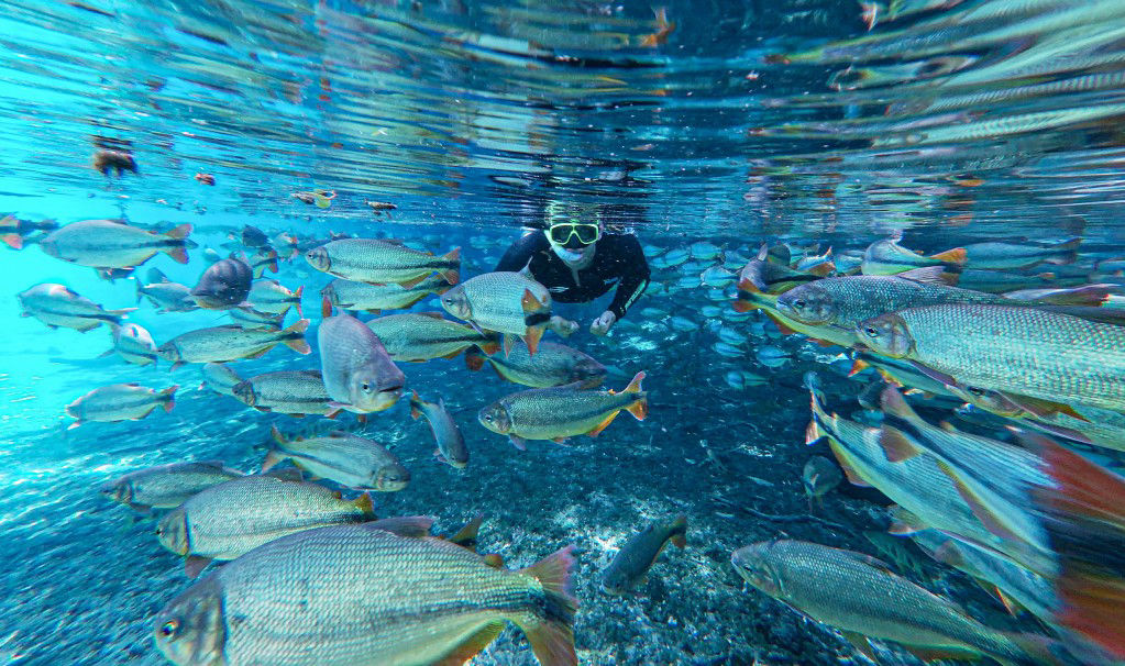 rio da prata flutuação