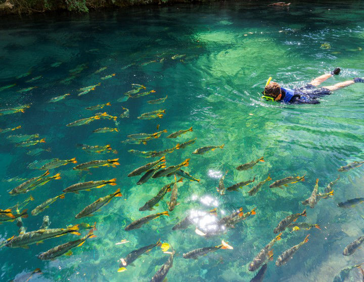 passeio de flutuação rio da prata em jardim ms
